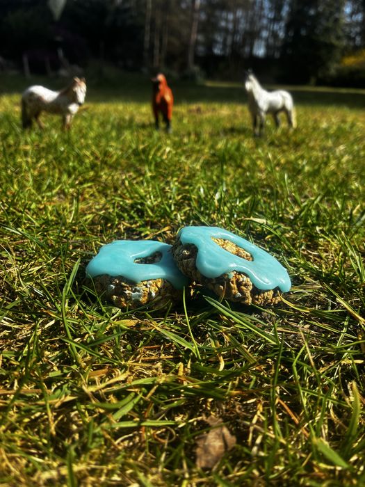 Horse donuts, przysmaki, ciastka z lukrem dla koni
