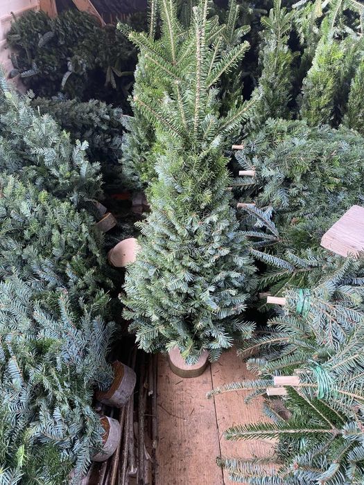 Плетена ялинка ручної роботи...