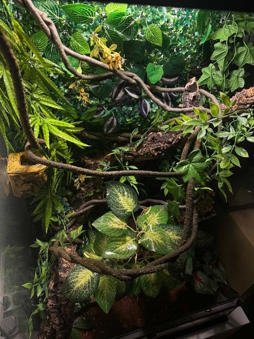 Terrário Exo Terra completo
