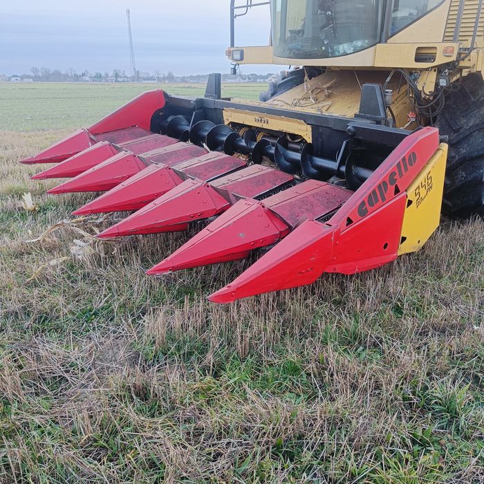 Przystawka do kukurydzy Capello 6 rzedow