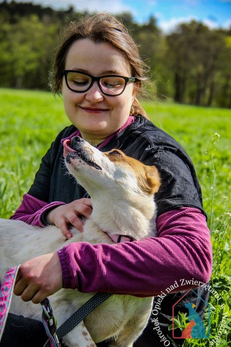 Pepa 35/24 - SZUKA DOMU!
