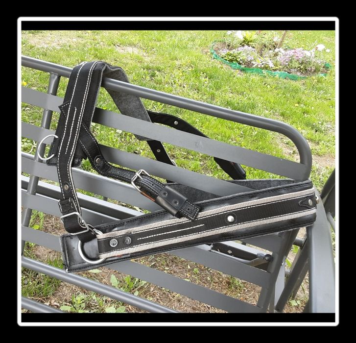 Шлея шкіряна для коня від 2500