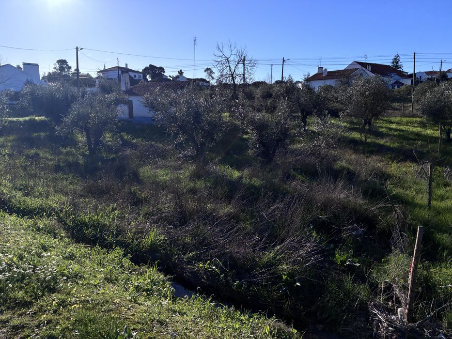 Grande Oportunidade no Alentejo - Ideal para Habitação ou Investimento