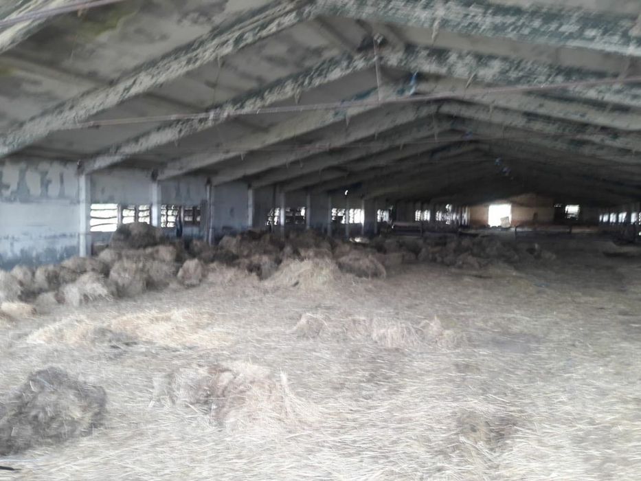 Продаж діючої ферми, агробізнесу Житомирська область, Брусилівський