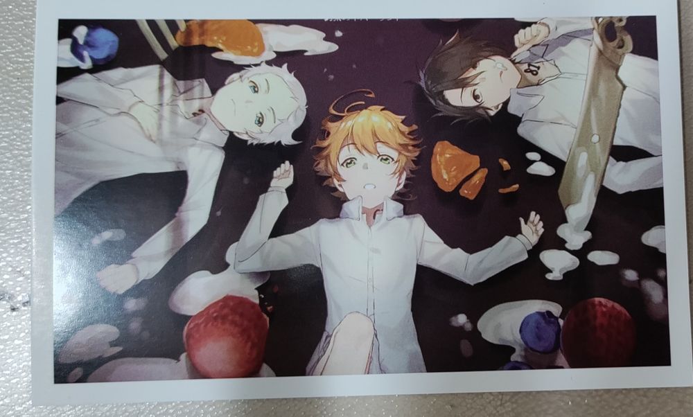 The Promised Neverland cartões