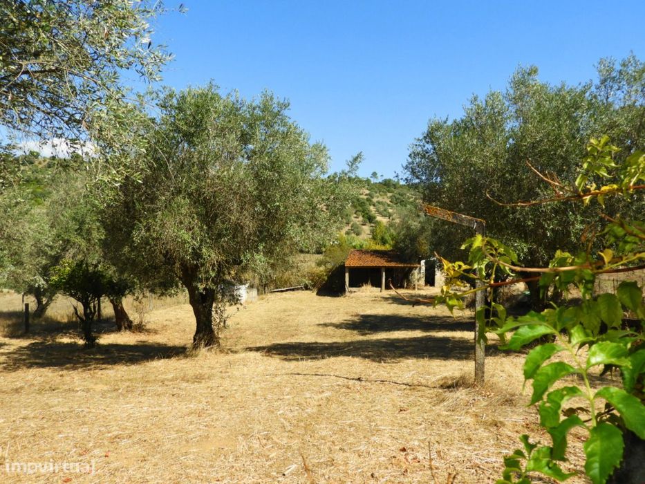 Property in Arneiro das Milhariças, Santarém