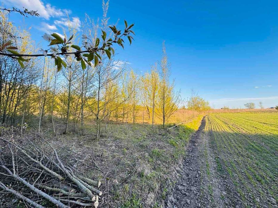 Продаж земельної ділянки в с. Якушинці