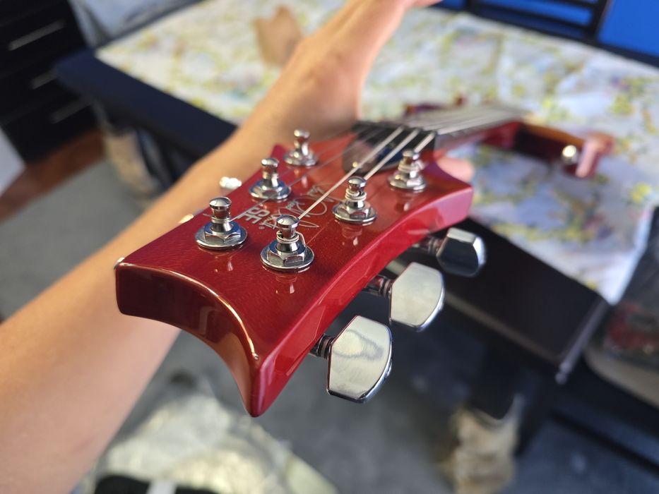 Prs Se Custom 22 2021