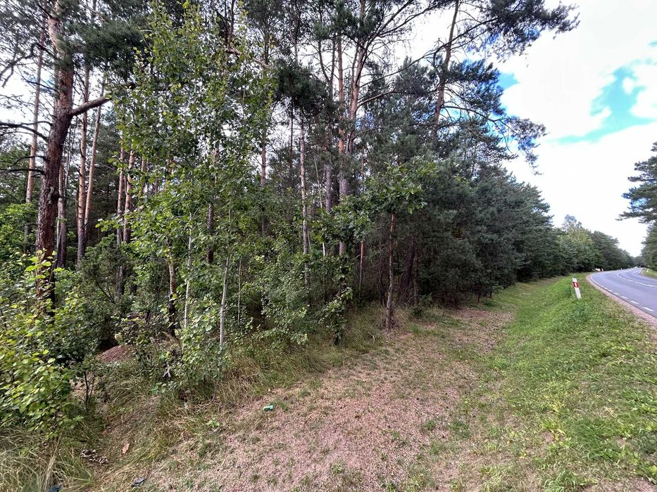 Sprzedam działkę z lasem 0.58 ha