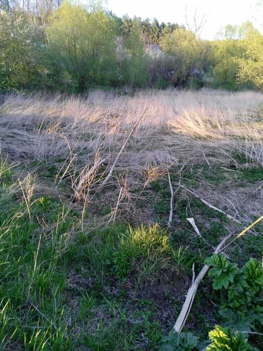 Продам земельну ділянку с. Олешин