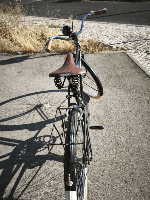 Bicicleta Pasteleira raleigh