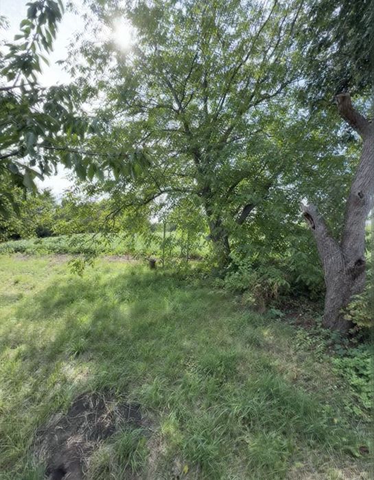 Продаж будинку с.Озерне. Білоцерківський район.