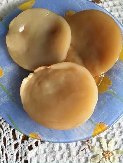 Zdrowy grzybek herbaciany kombucha