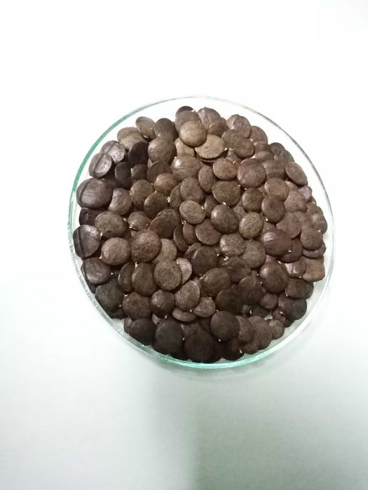 Glicynia chińska Wisteria sinensis