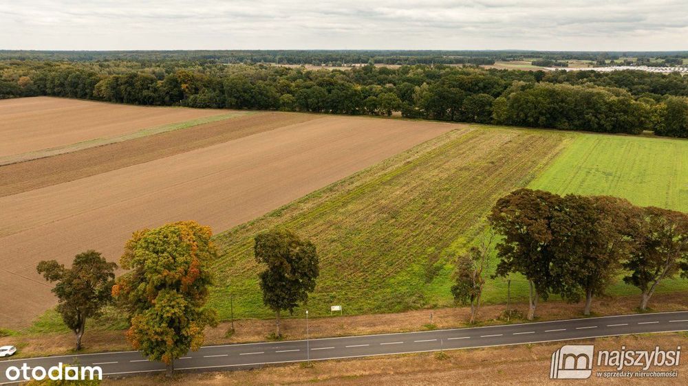 Maszewo-Wisławie - działka rolno-budowlana 748 m² - Więcej