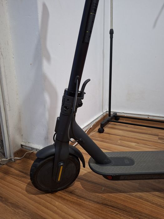 Tortinette electrica para vender