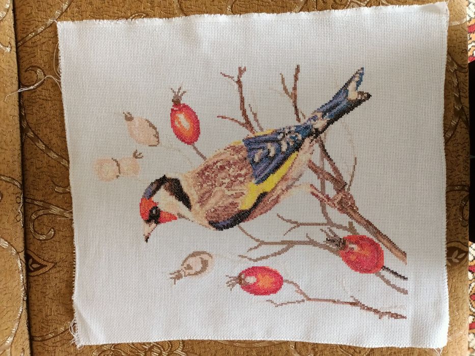 Obraz haftowany krzyżykowy ptak