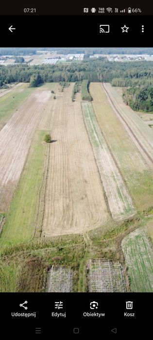 Sprzedam działkę rolną 3ha Grotki - Widok 2