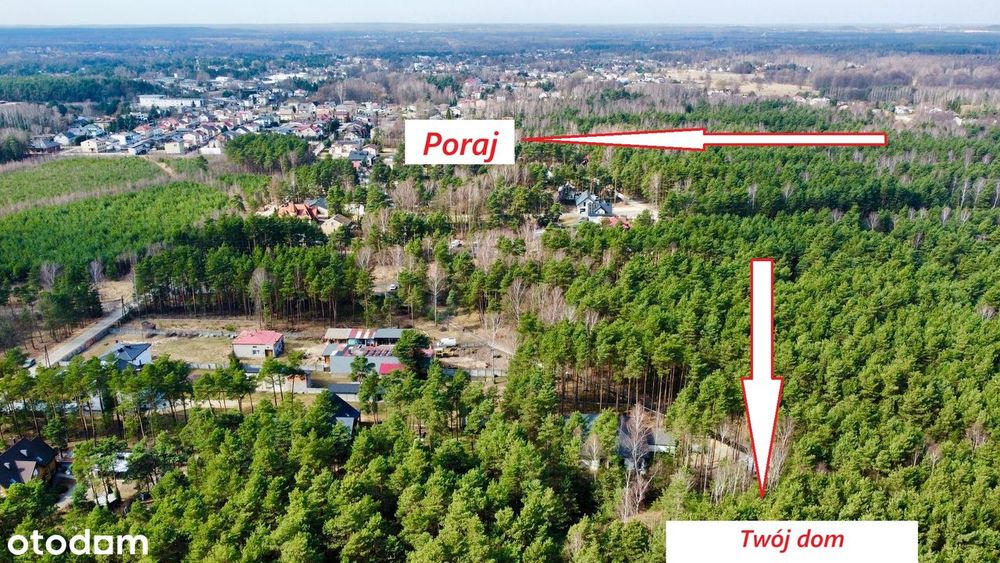 Własny dom we własnym lesie tuz przy mieście