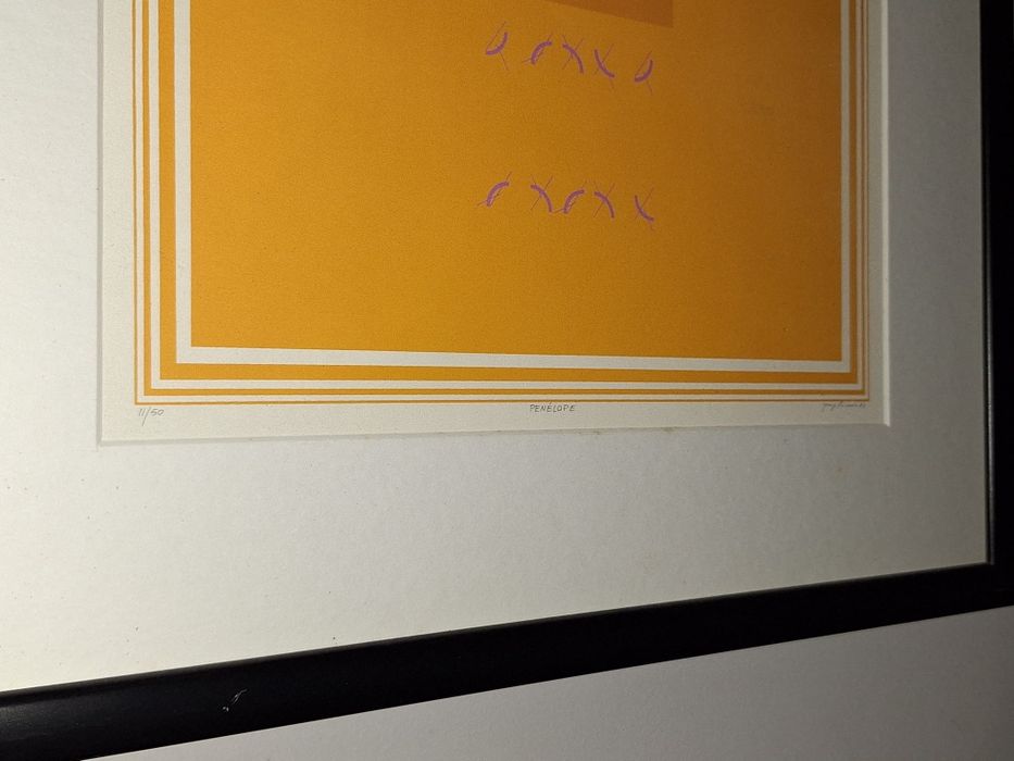 Serigrafia de Jorge Pinheiro