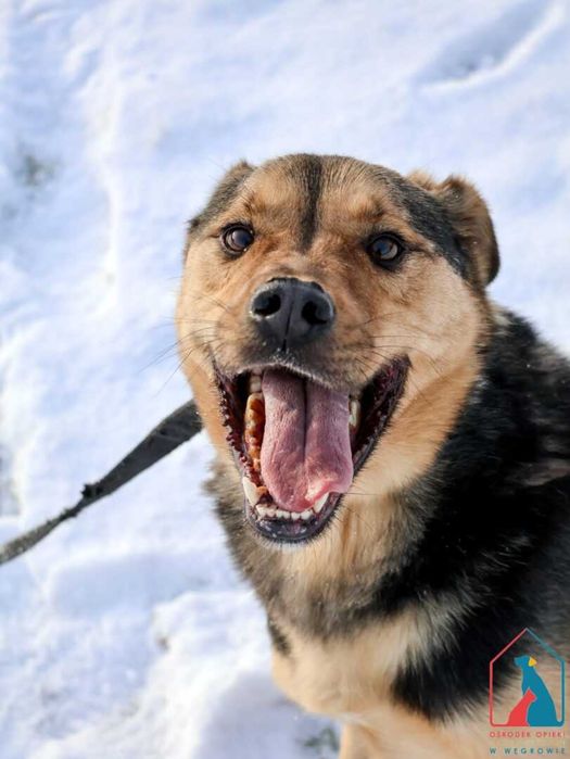 Spragniony czułości i bliskości - wrażliwy i bardzo uczuciowy