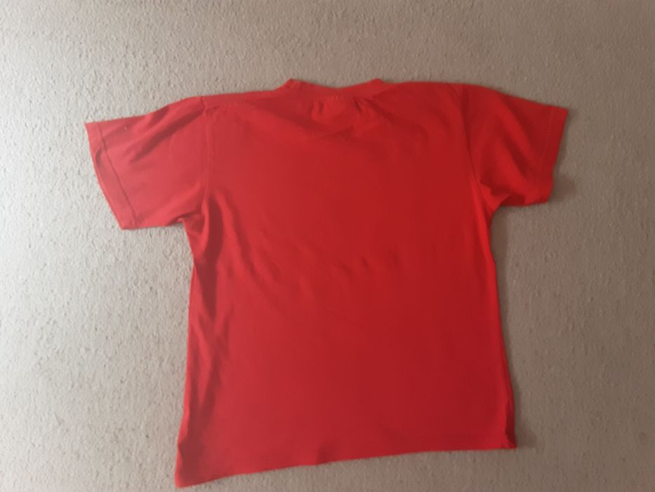 T-shirt Minecraft 152