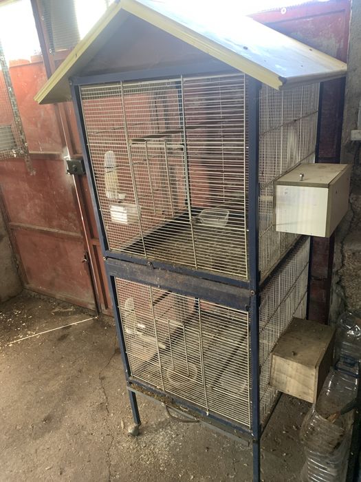 Gaiola para venda ou troca