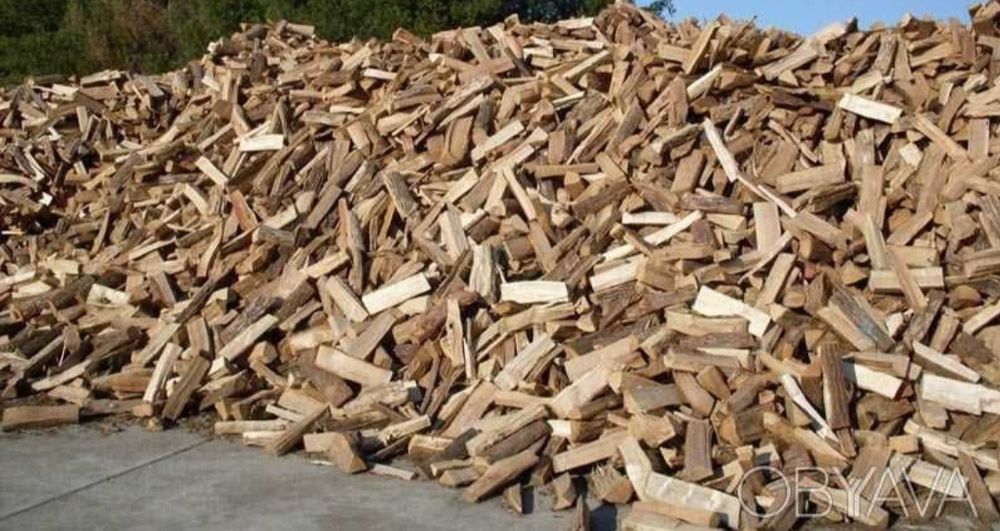 Дрова бук сухі і сирі під камін, котел, печі, дрібний і грубий покол