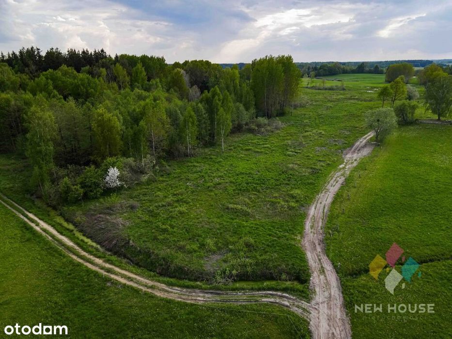 Działka pod siedlisko, w otoczeniu lasu