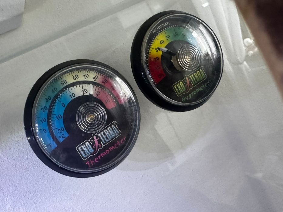 Terrarium 80x50x40 z wyposażeniem