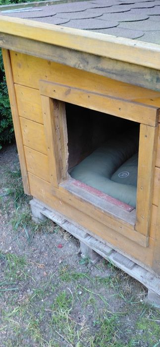 Buda dla psa średniego lub dużego