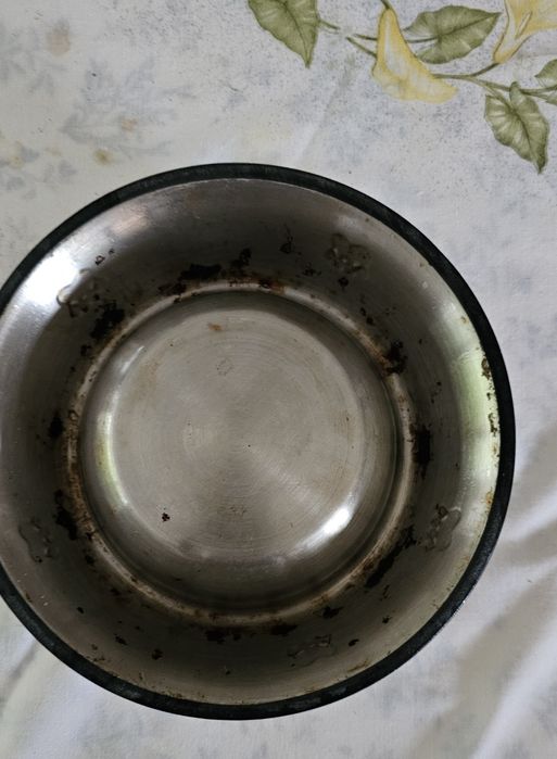 Comedouro Tigela taça cão ou gato