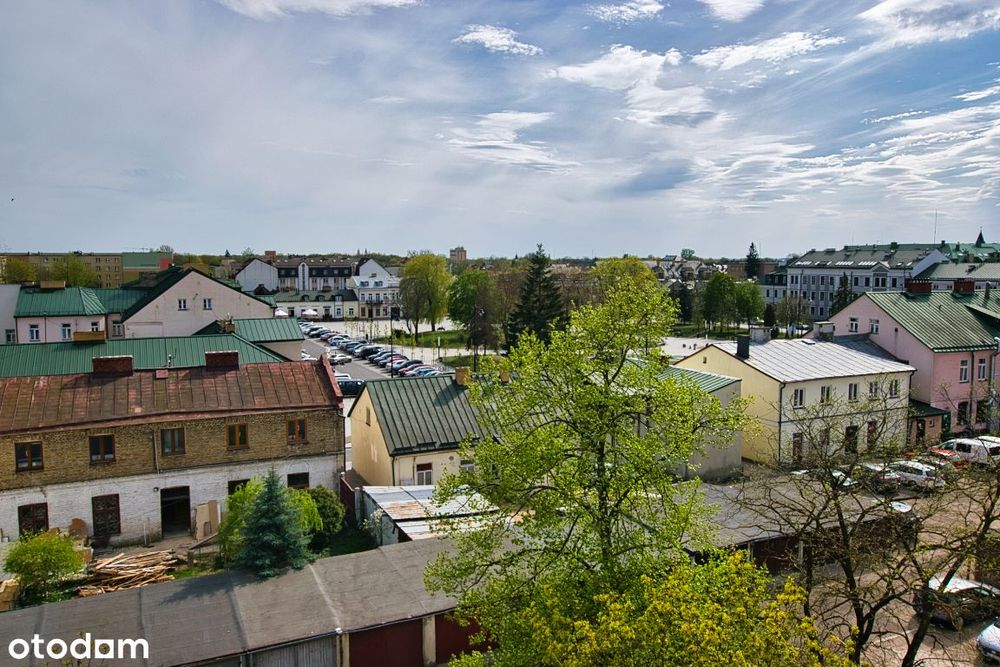 Mieszkanie 2-pokojowe 41,44m2 z widokiem na park w centrum miasta.