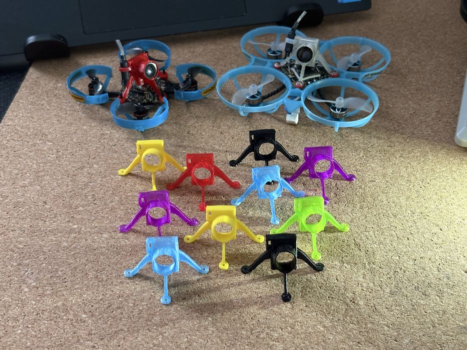 Canopy 1s fpv dron whoop