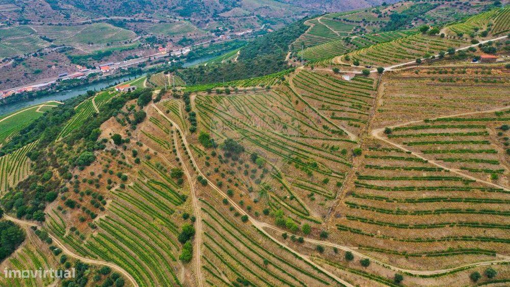 Terreno  para venda — São João Da Pesqueira E Várzea De Trevões, Viseu