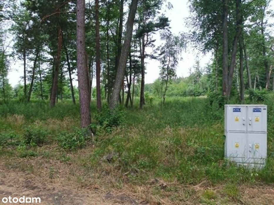 Działka rekreacyjna w cichej okolicy lasu