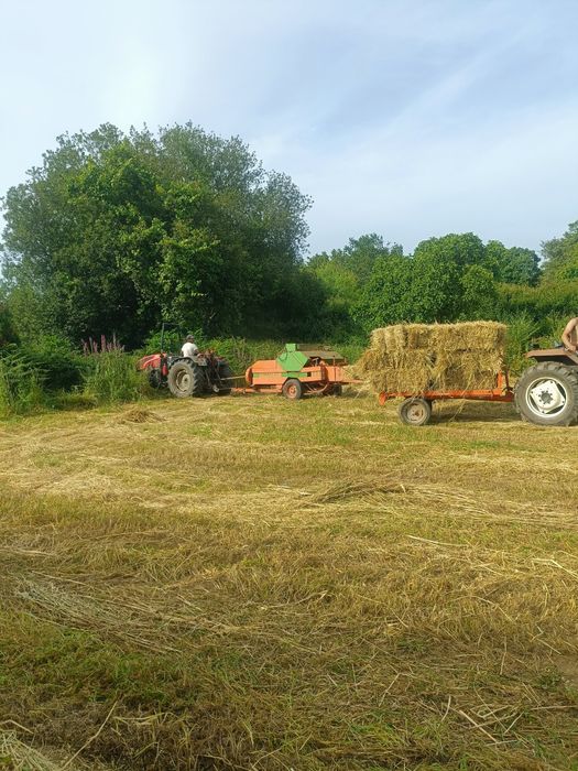 Vendo fardos de palha