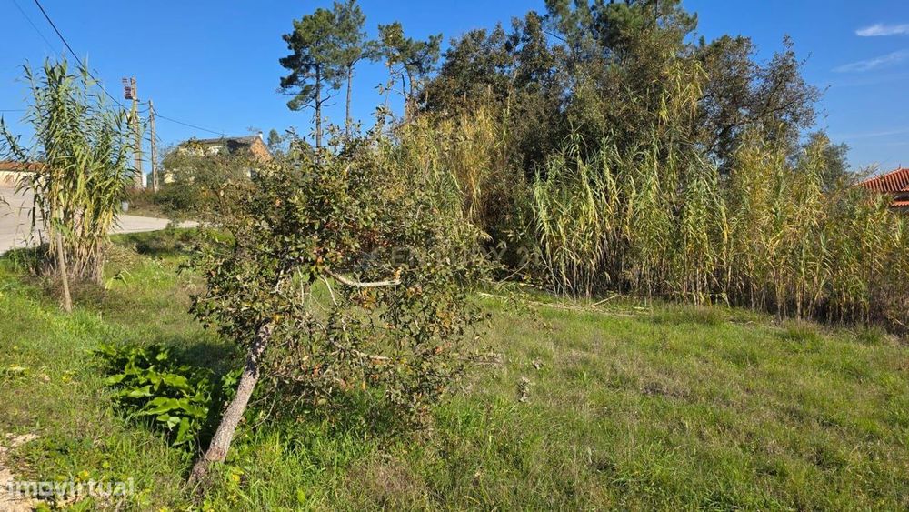 Terreno em Soure, Coimbra - Excelente oportunidade de négocio