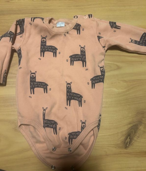 Body Pinokio w lamy i półśpiochy
