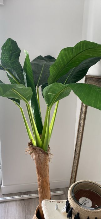 Vaso para planta novo com eriqueta