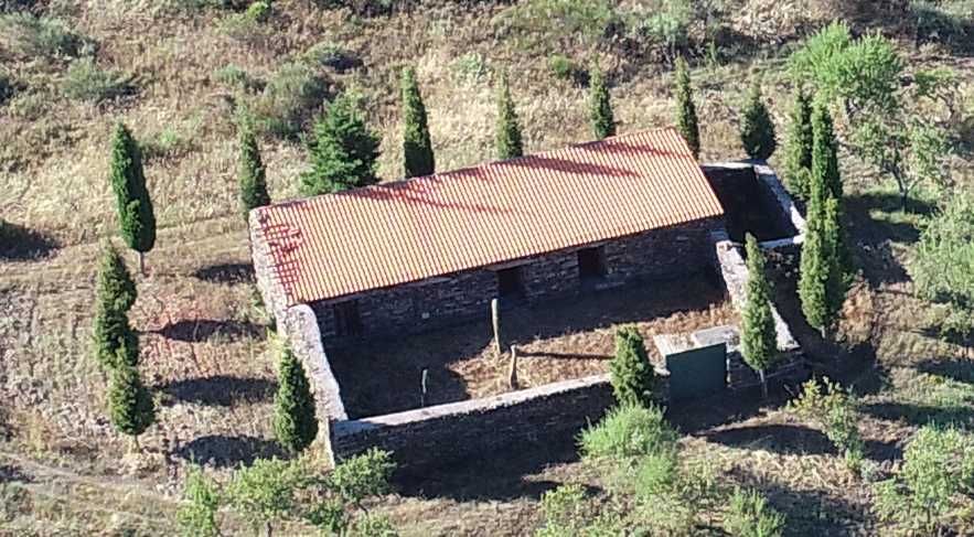 Terreno com 32 hect. com excelente potencial para a produção de vinho.