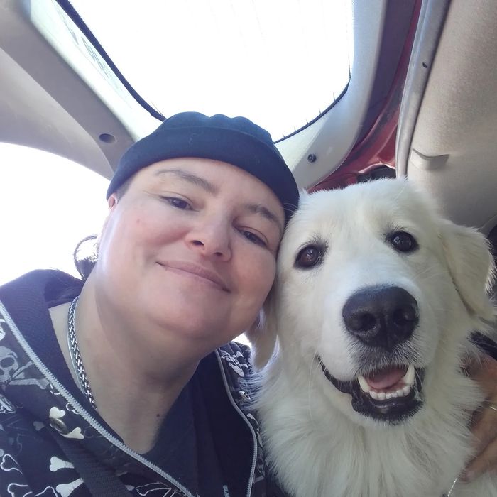 Перегон авто по Украине.Водійка.