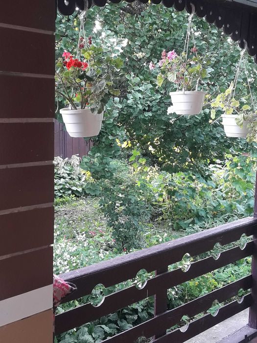 Продаж двоповерхового будинку в центрі м. Чорнобай