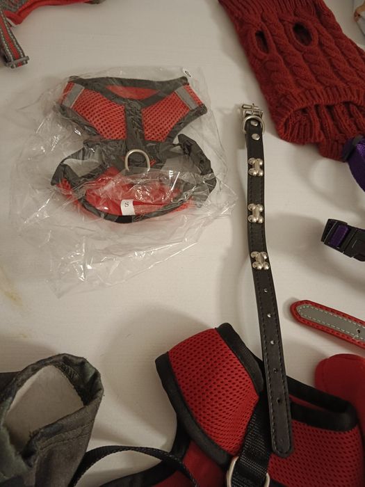 Wyprawka dla psa, obroża szelki sweter