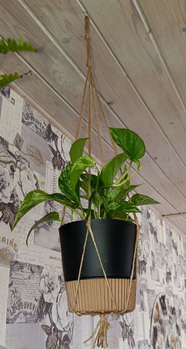 Minimalistyczny wiszący kwietnik sznurkowy / makrama boho na roślinę