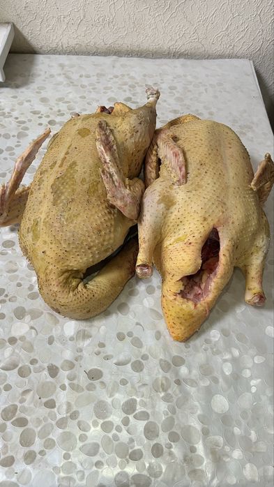 Домашня Качка (220) грн/кг)