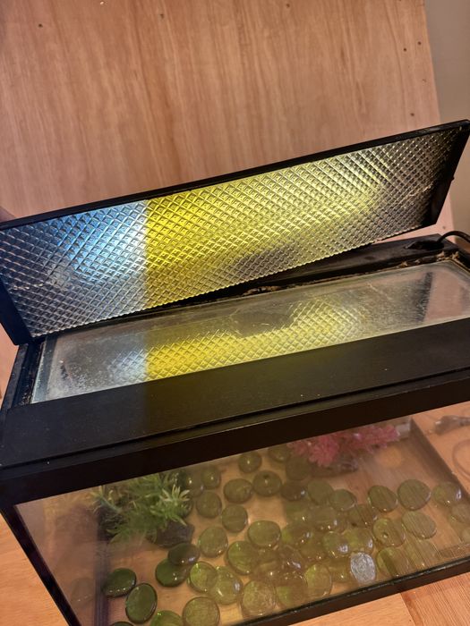 Aquario de 22 litros, com luz e motor