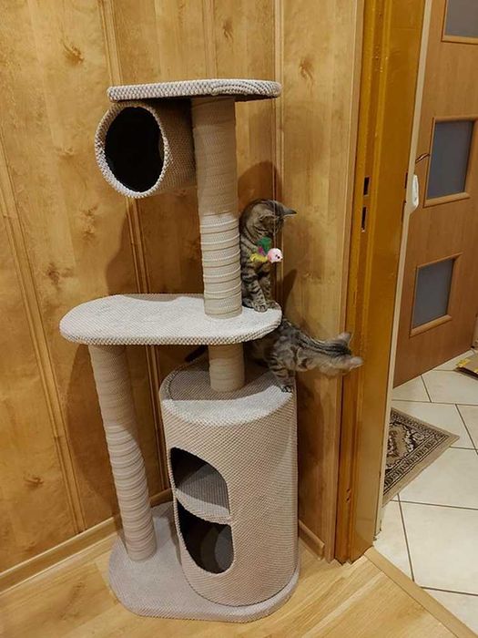 Nowoczesny Drapak dla Kota różne modele wiele kolorów polski producent