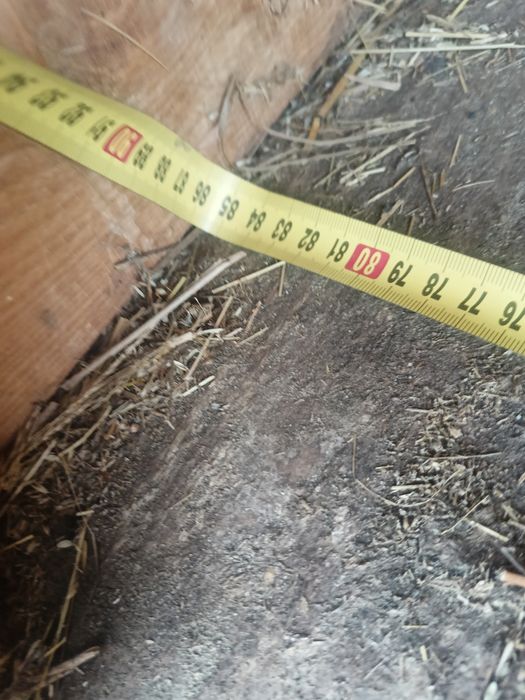 Klatki dla królików