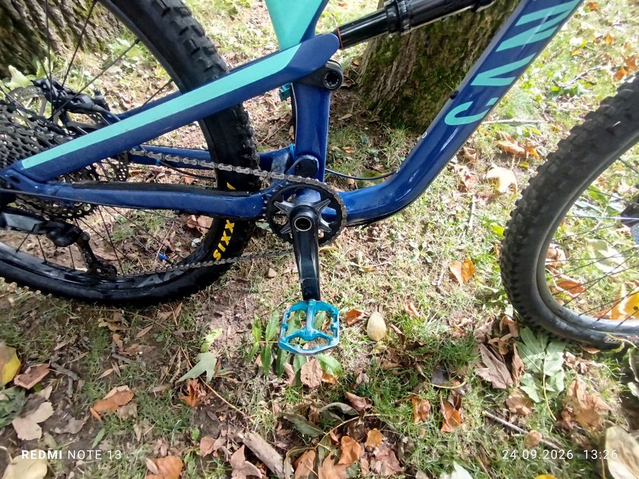 Canyon spectral cf 7